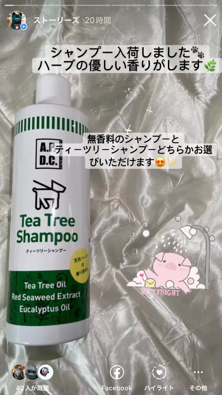 【Tea Tree Shamoo 始めました！】シャンプーの香り｜宇都宮