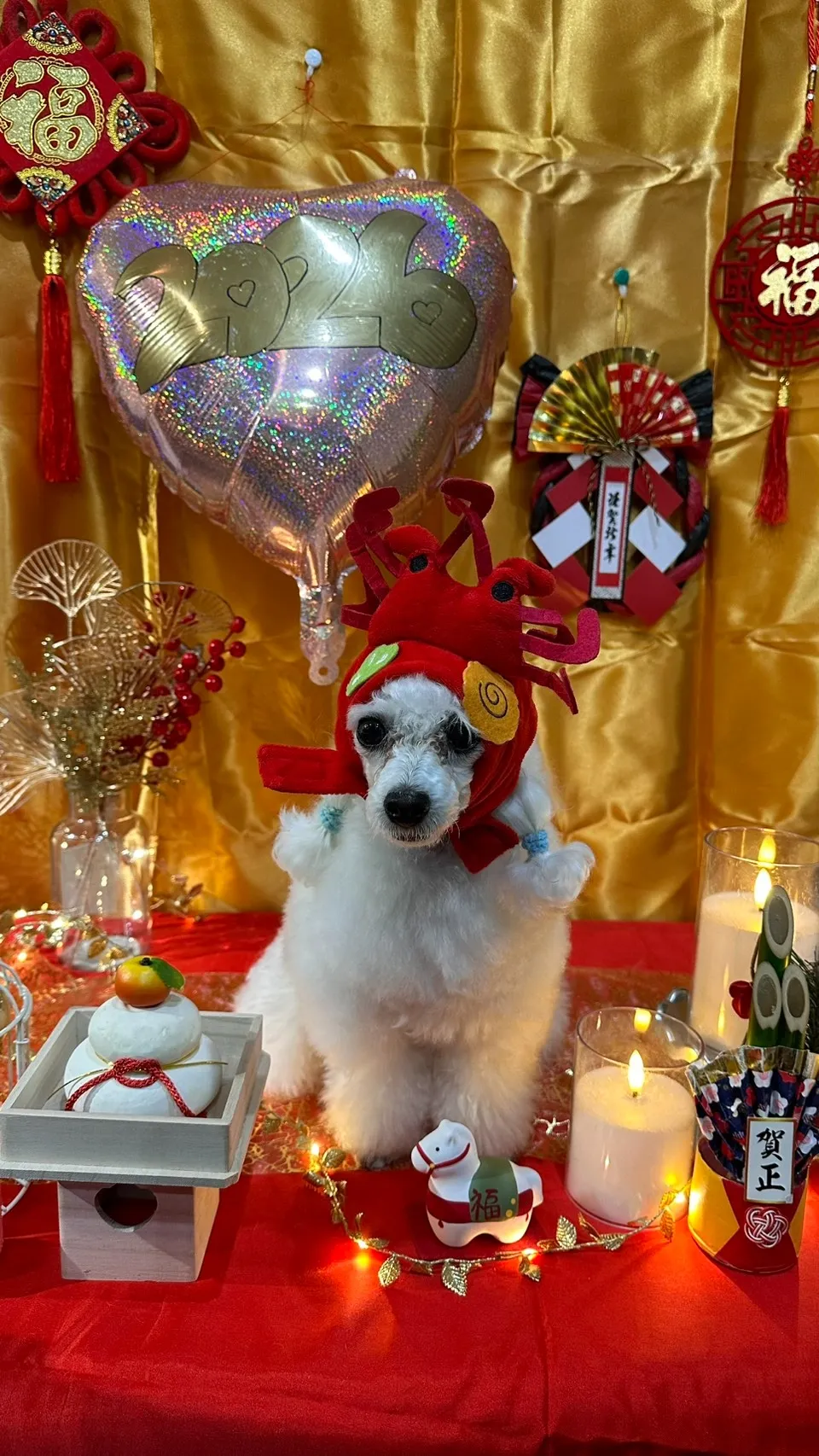 お客様の声が語る、アニマー湯宇都宮の魅力